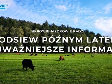 portale rolnicze|Pierwszy Portal Rolny